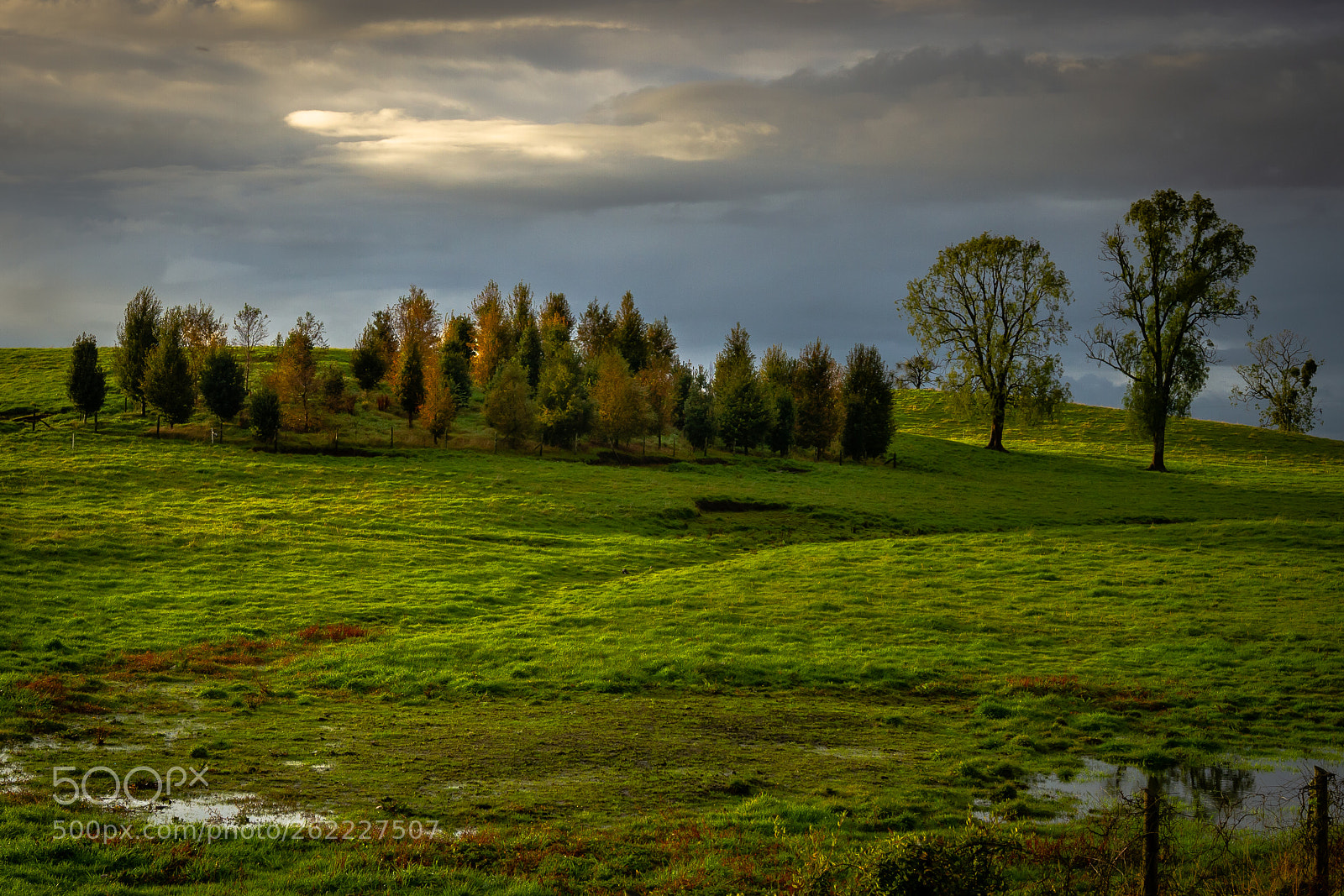 Canon EOS 7D sample photo. Early in the morning photography