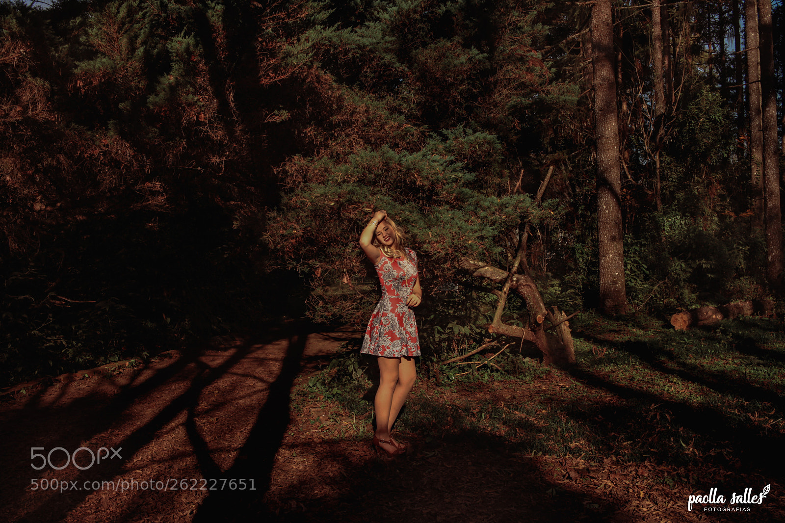 Canon EOS 5D Mark II sample photo. Fotos: paolla salles photography
