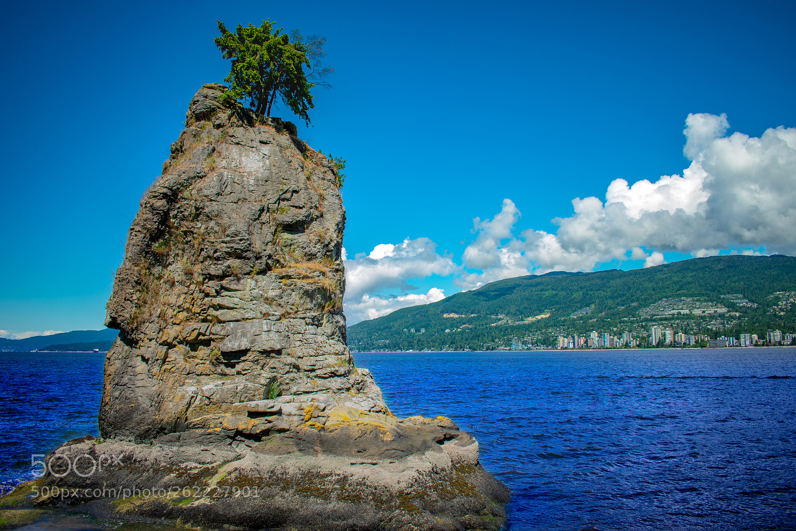 Nikon D3400 sample photo. Lonely tree photography
