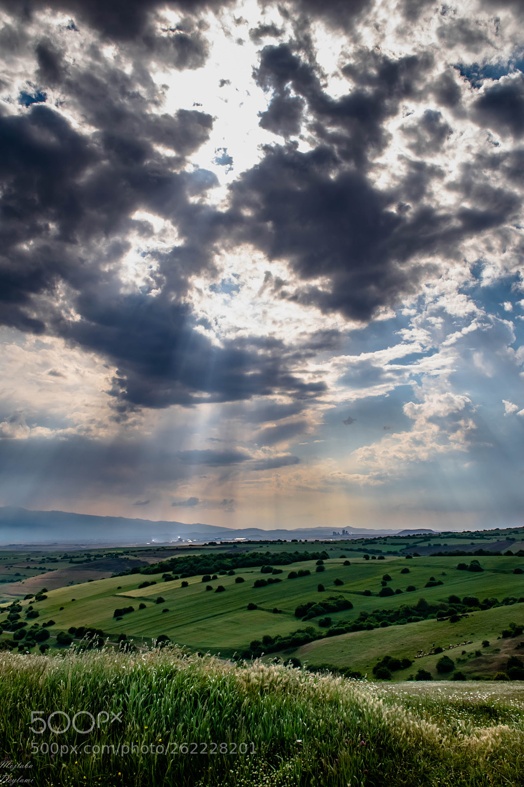 Nikon D5300 sample photo. The green sunset photography