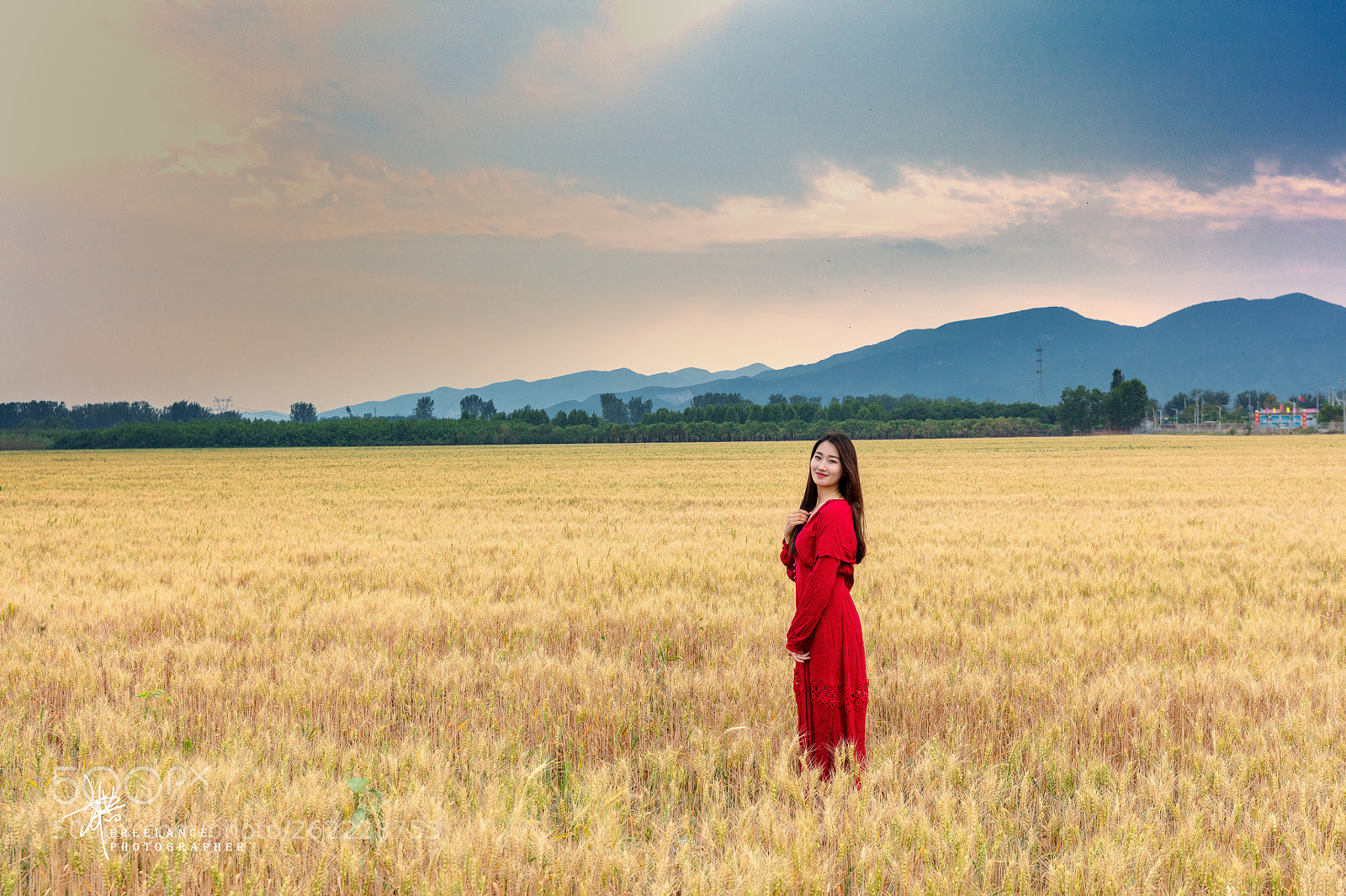 Canon EOS 5DS sample photo. 麦田 photography