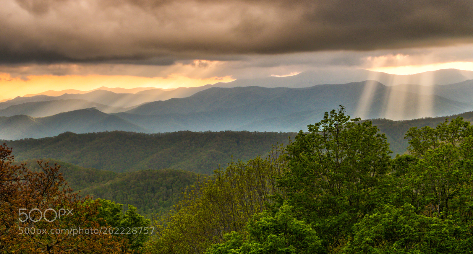 Nikon D5500 sample photo. Smoky mountains sunset photography