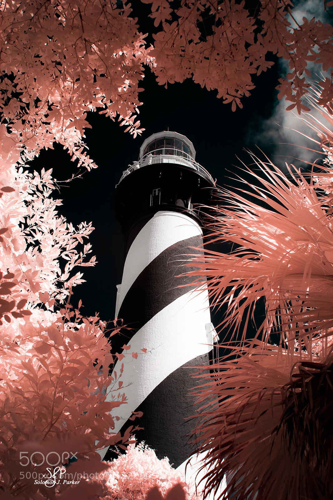Canon EOS 10D sample photo. Floridian adventure photography