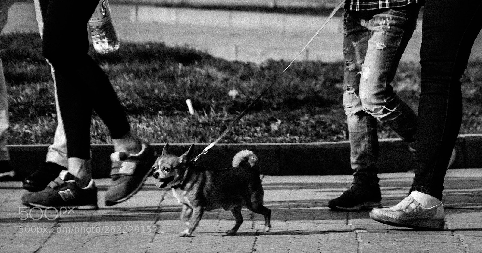 Nikon D5200 sample photo. Walk on business photography