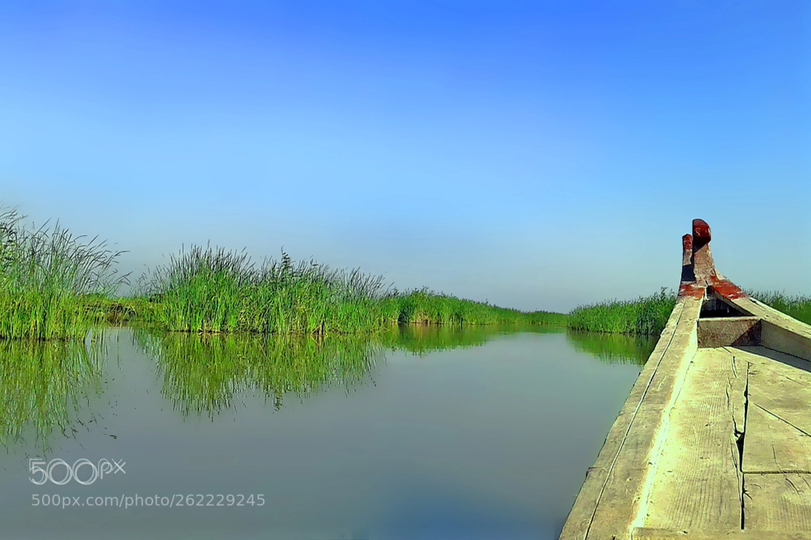 Canon EOS 700D (EOS Rebel T5i / EOS Kiss X7i) sample photo. Iraqi marshes flashback(2016) photography