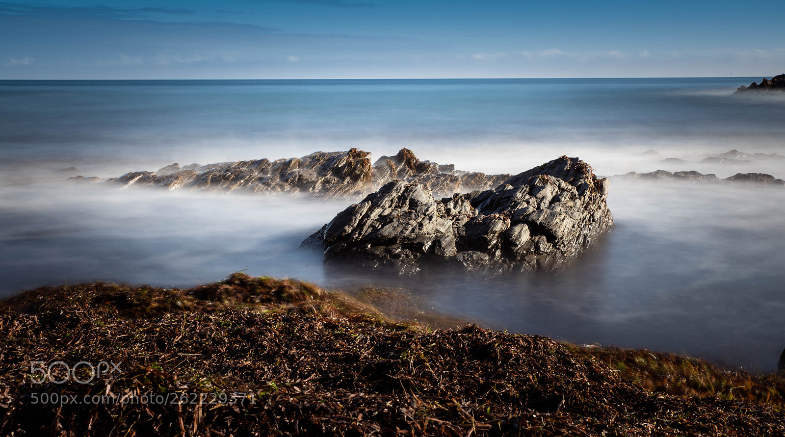 Nikon D850 sample photo. _8501002-2.jpg photography