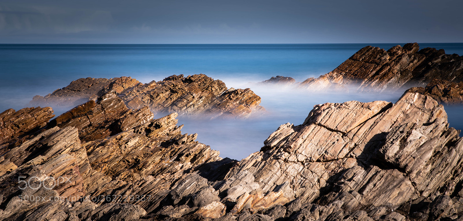 Nikon D850 sample photo. _8501006-2.jpg photography