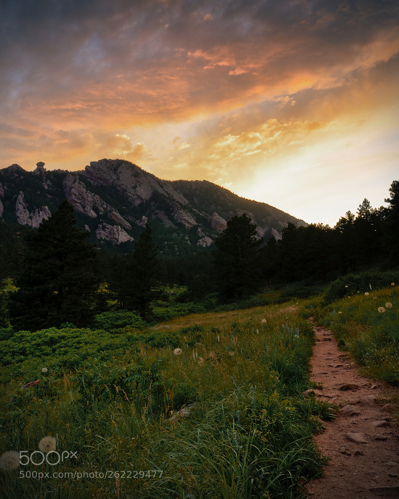 Nikon D7000 sample photo. Boulder sunset photography