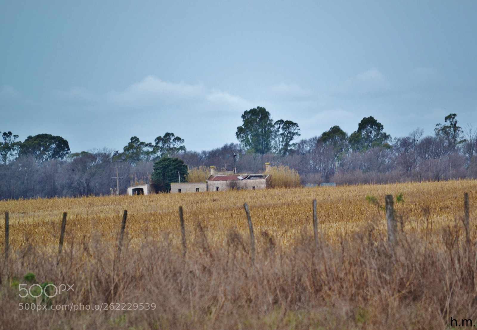 Nikon D3100 sample photo. Casa de campo photography