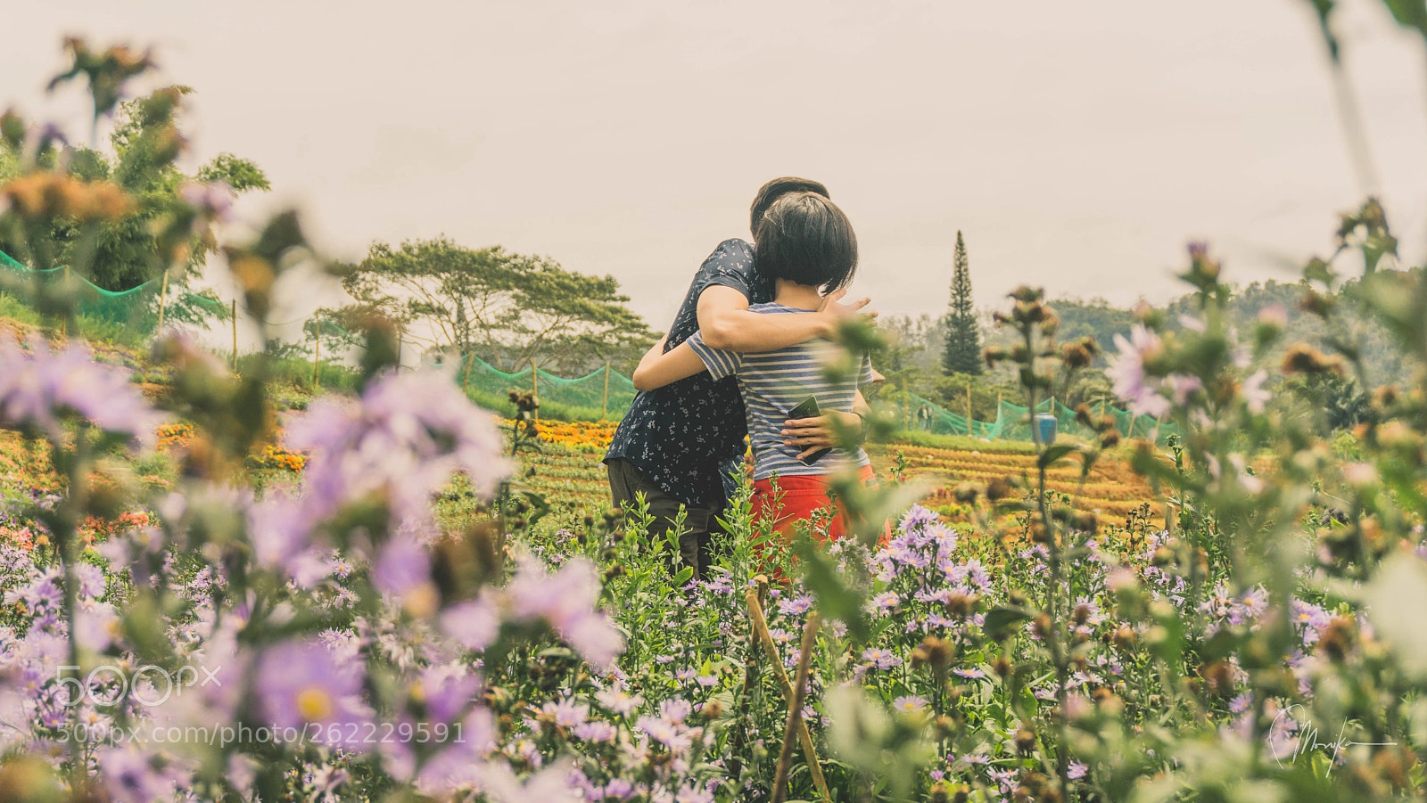 Sony a6000 sample photo. In love photography