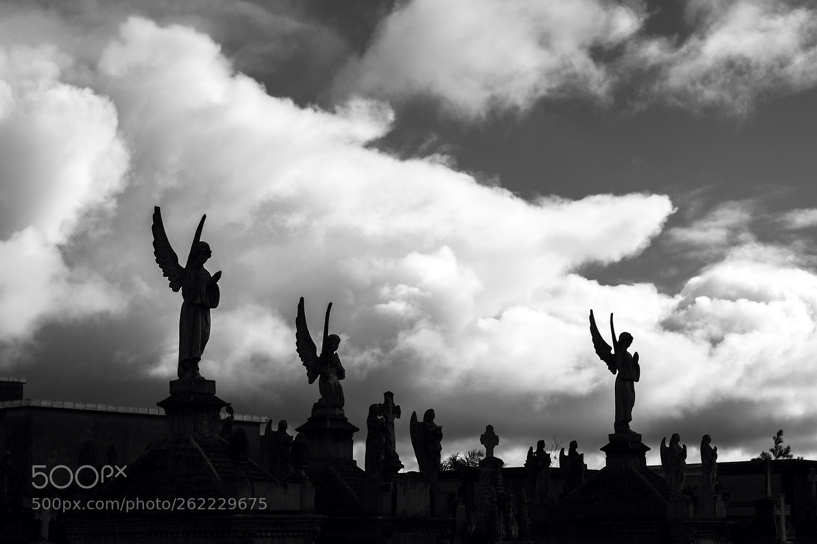 Sony a7 sample photo. Cementerio la piedad photography