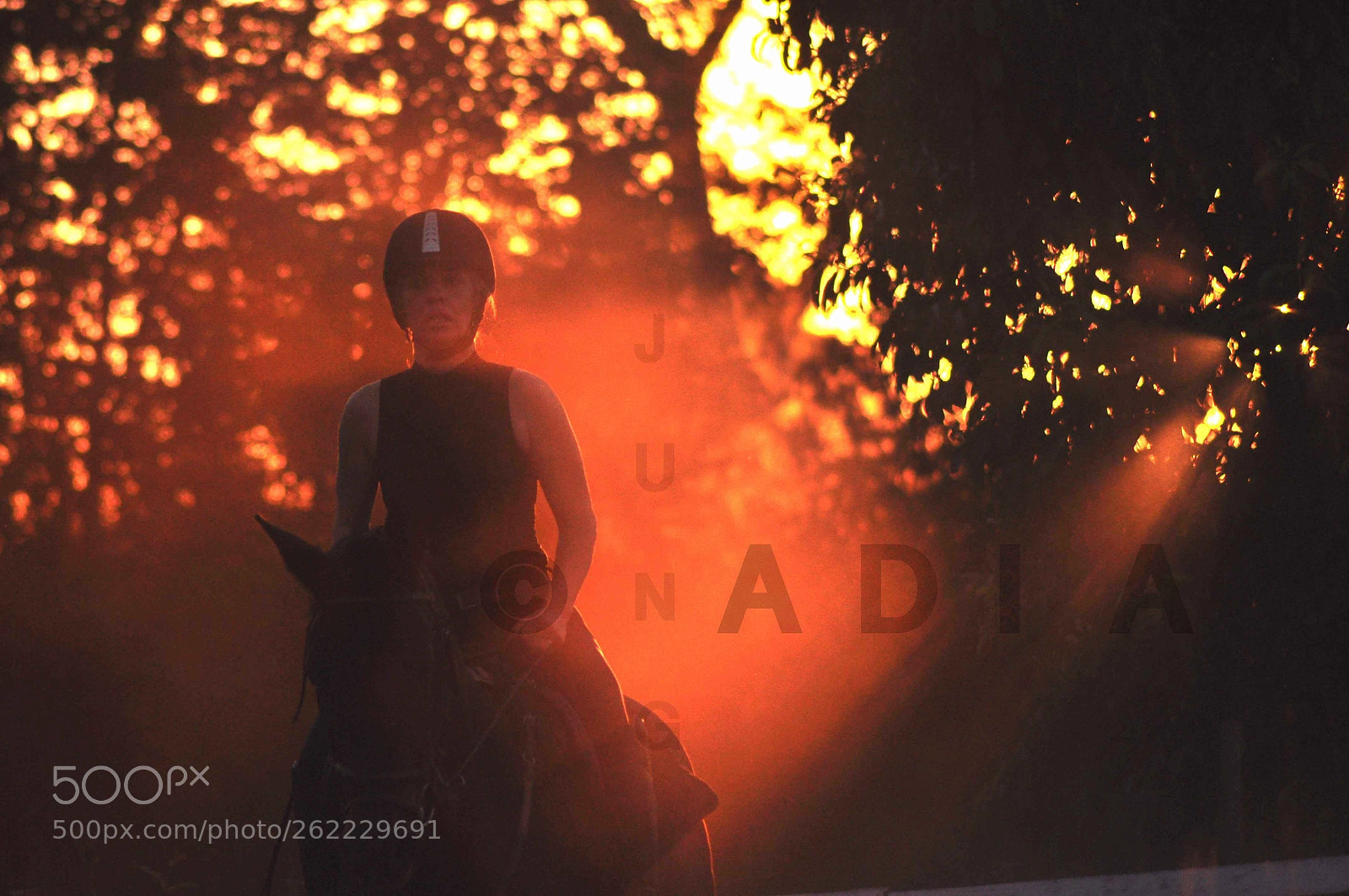 Nikon D90 sample photo. Hipismo photography