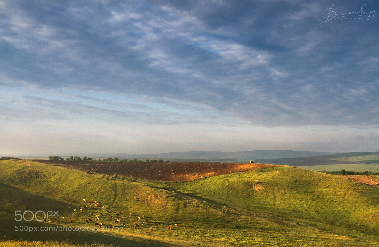Canon EOS 7D sample photo. ...morning pastoral... photography