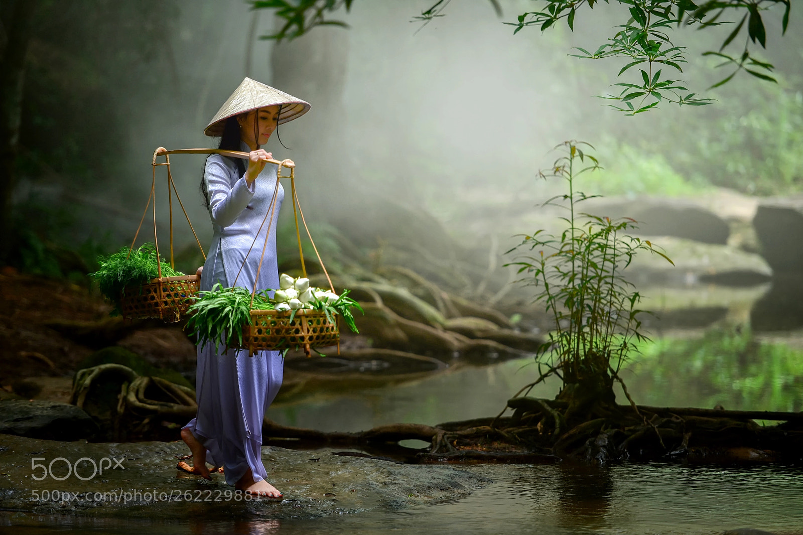 Nikon D750 sample photo. Portrait of vietnam girls photography