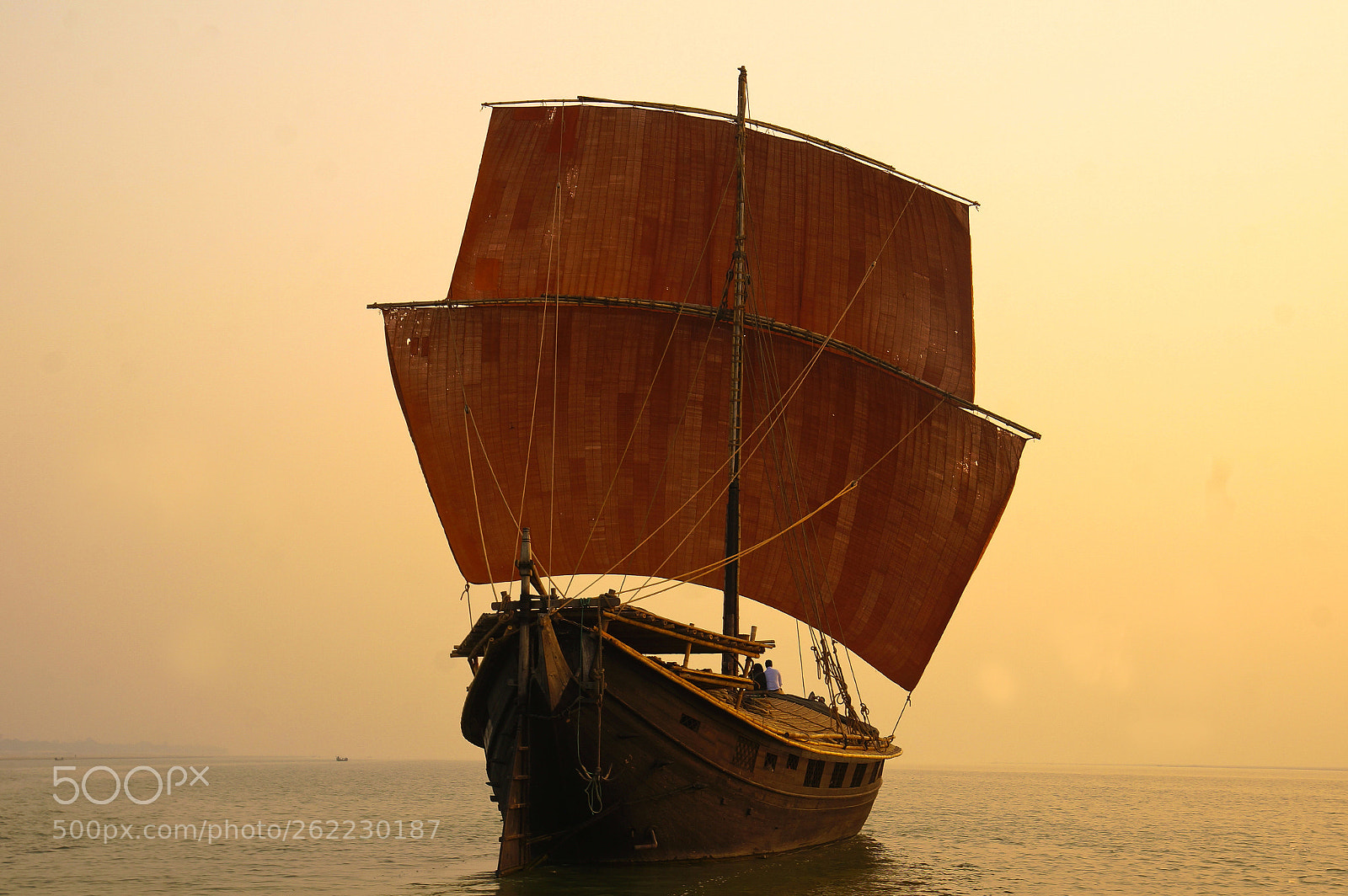 Sony Alpha NEX-5T sample photo. Lost in love. photography
