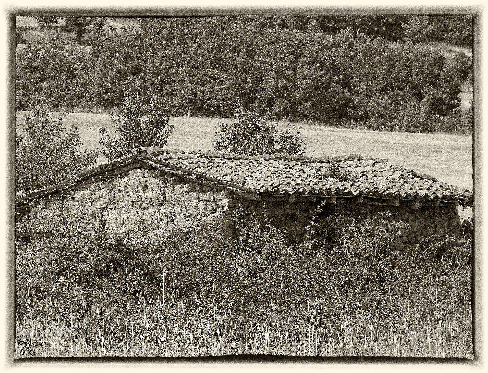 KONICA MINOLTA DiMAGE Z5 sample photo. The old mudbrick hut photography