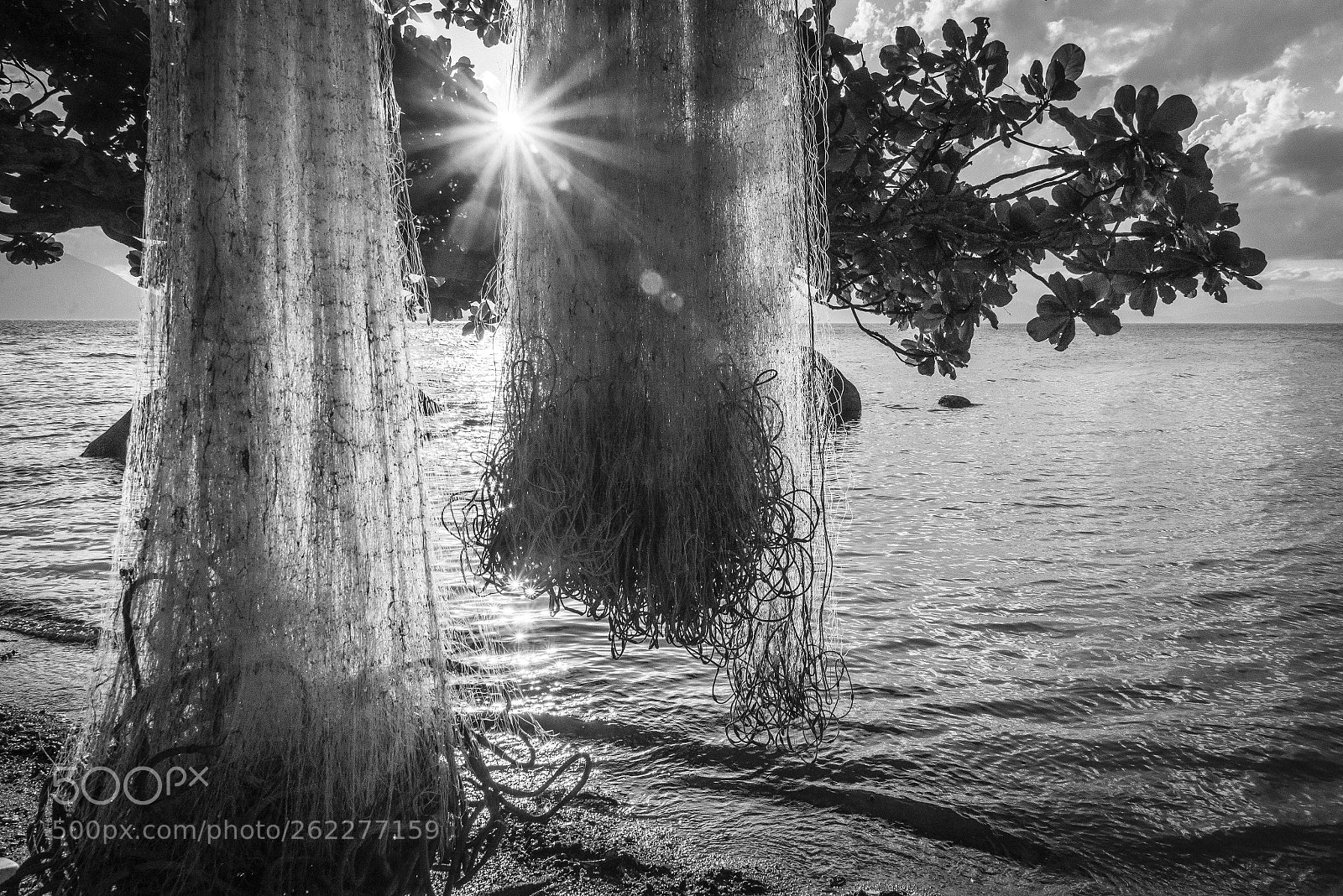 Nikon D600 sample photo. Fishing net sunset photography