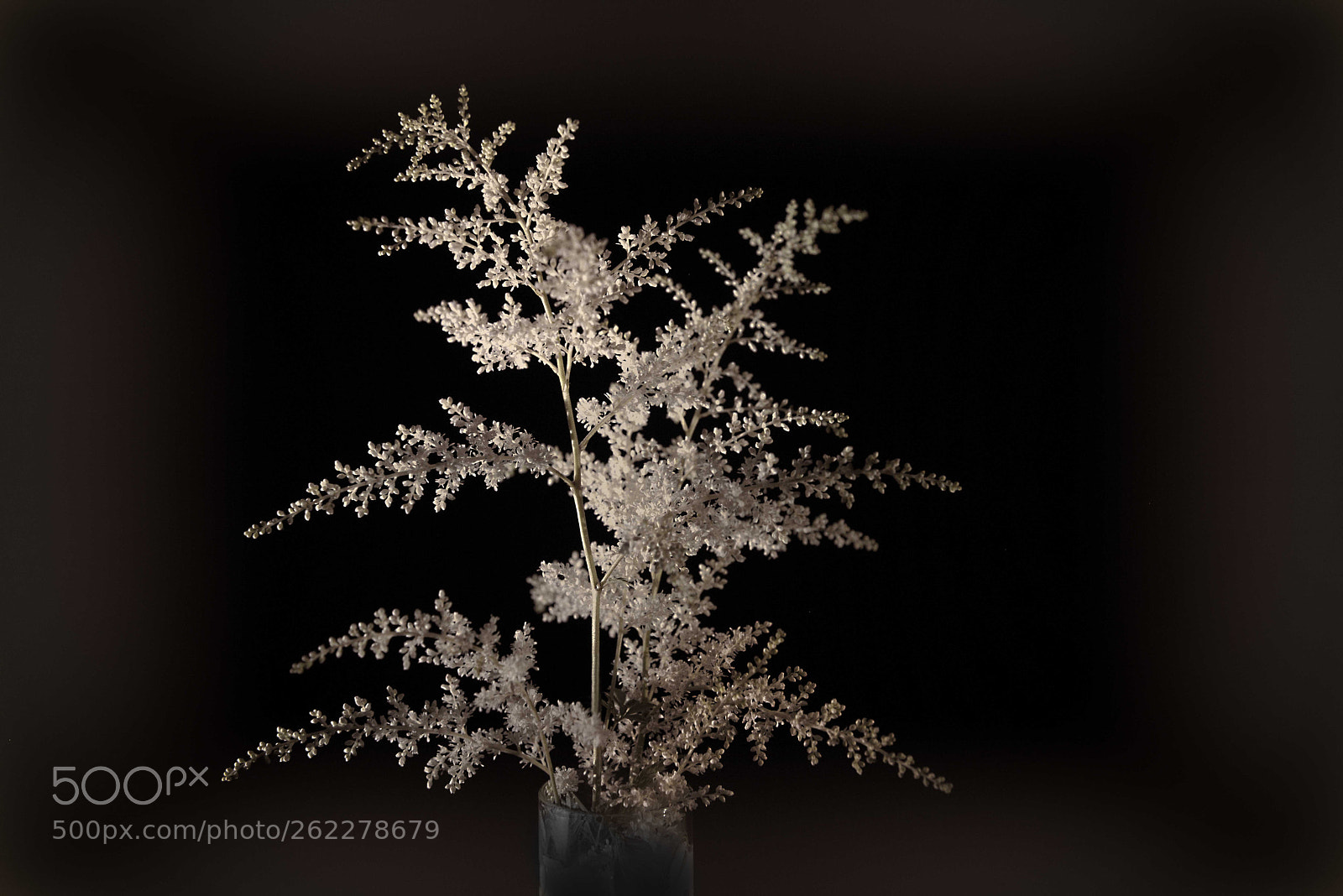 Nikon D810 sample photo. Different directions photography