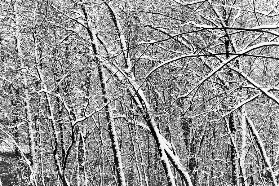 Fujifilm X-E1 sample photo. Winter abstract. photography