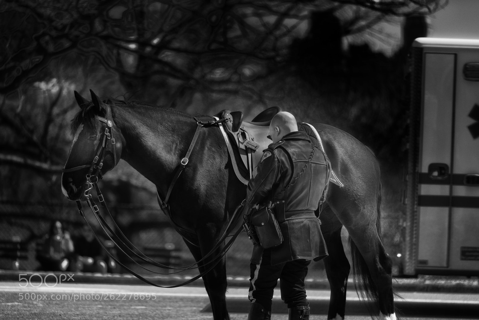 Nikon D810 sample photo. Mounted police nyc central photography