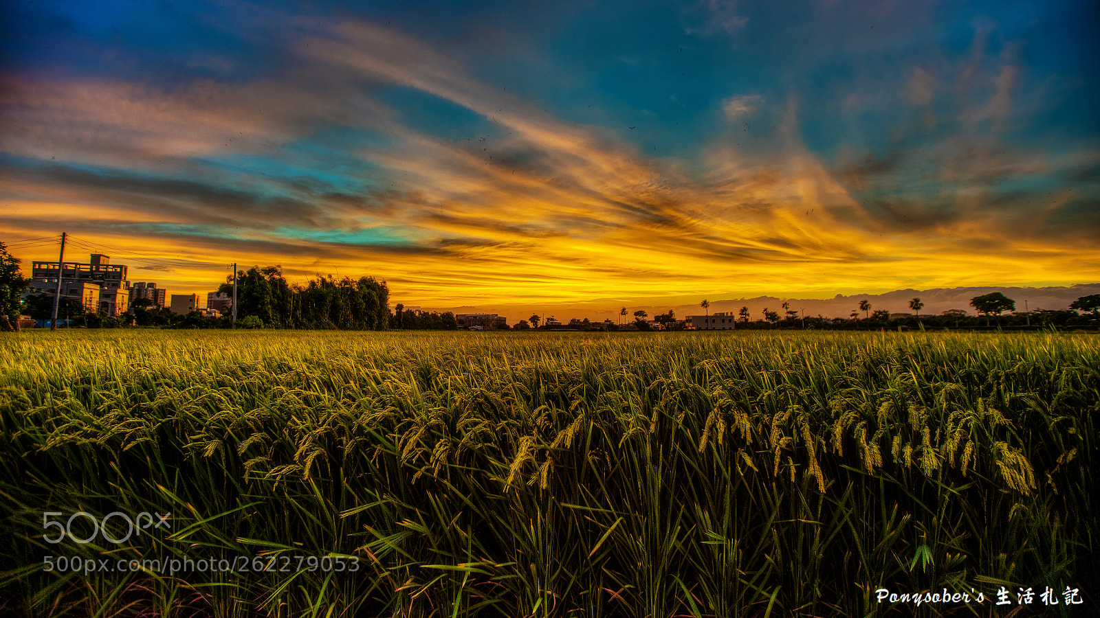 Sony a7R II sample photo. Andmore photography
