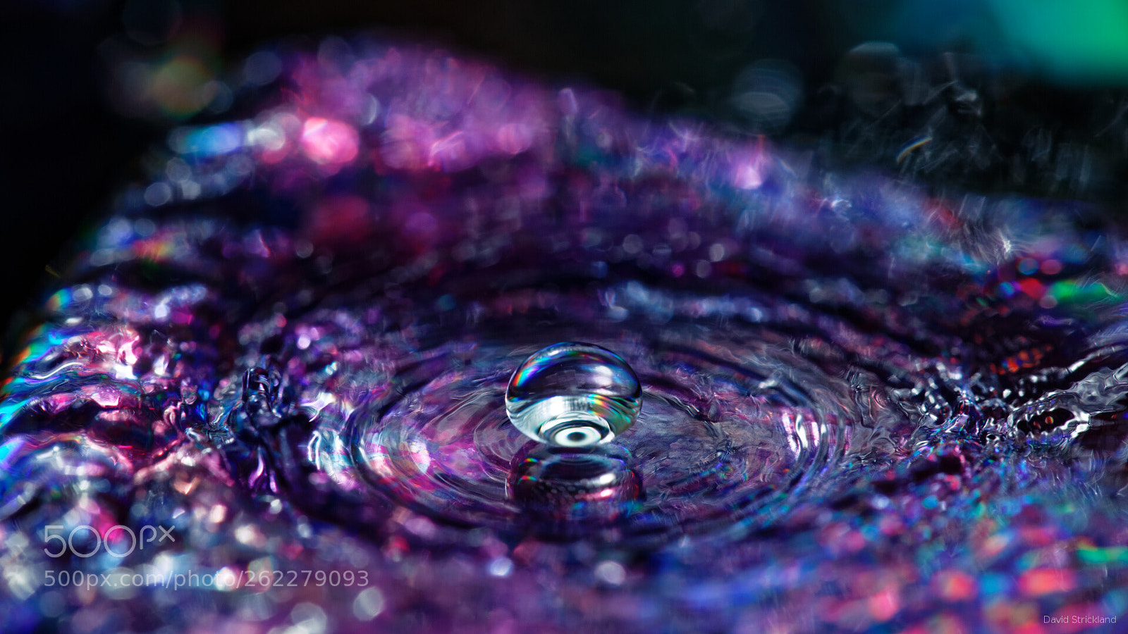 Canon EF 100mm F2.8L Macro IS USM sample photo. The protected eye photography