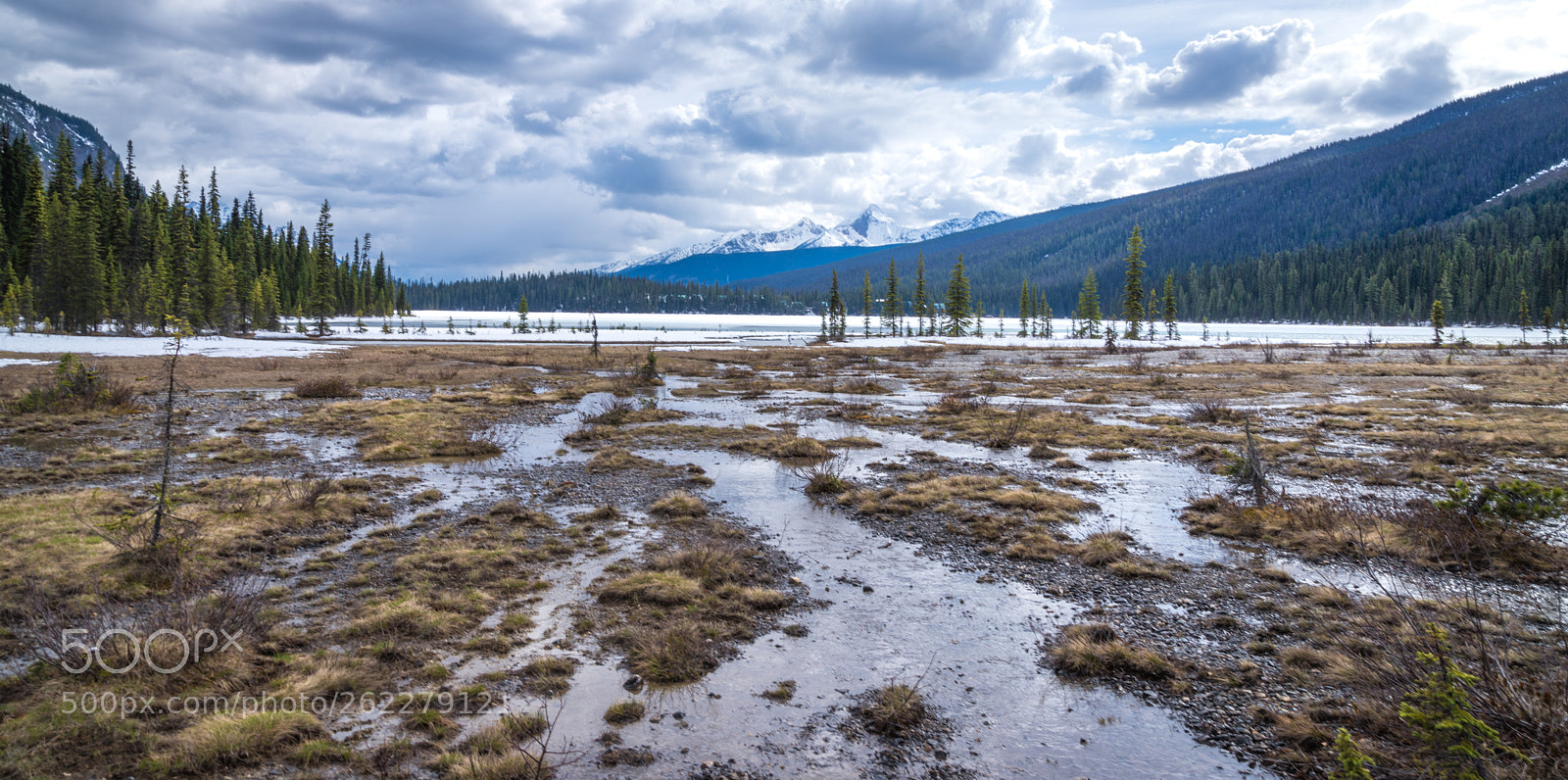 Nikon D610 sample photo. Emerald trail photography
