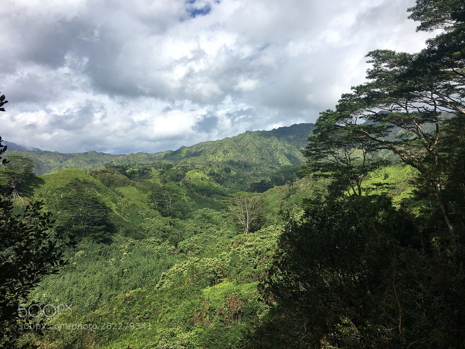 Apple iPhone 6s Plus sample photo. Kauai jungle photography