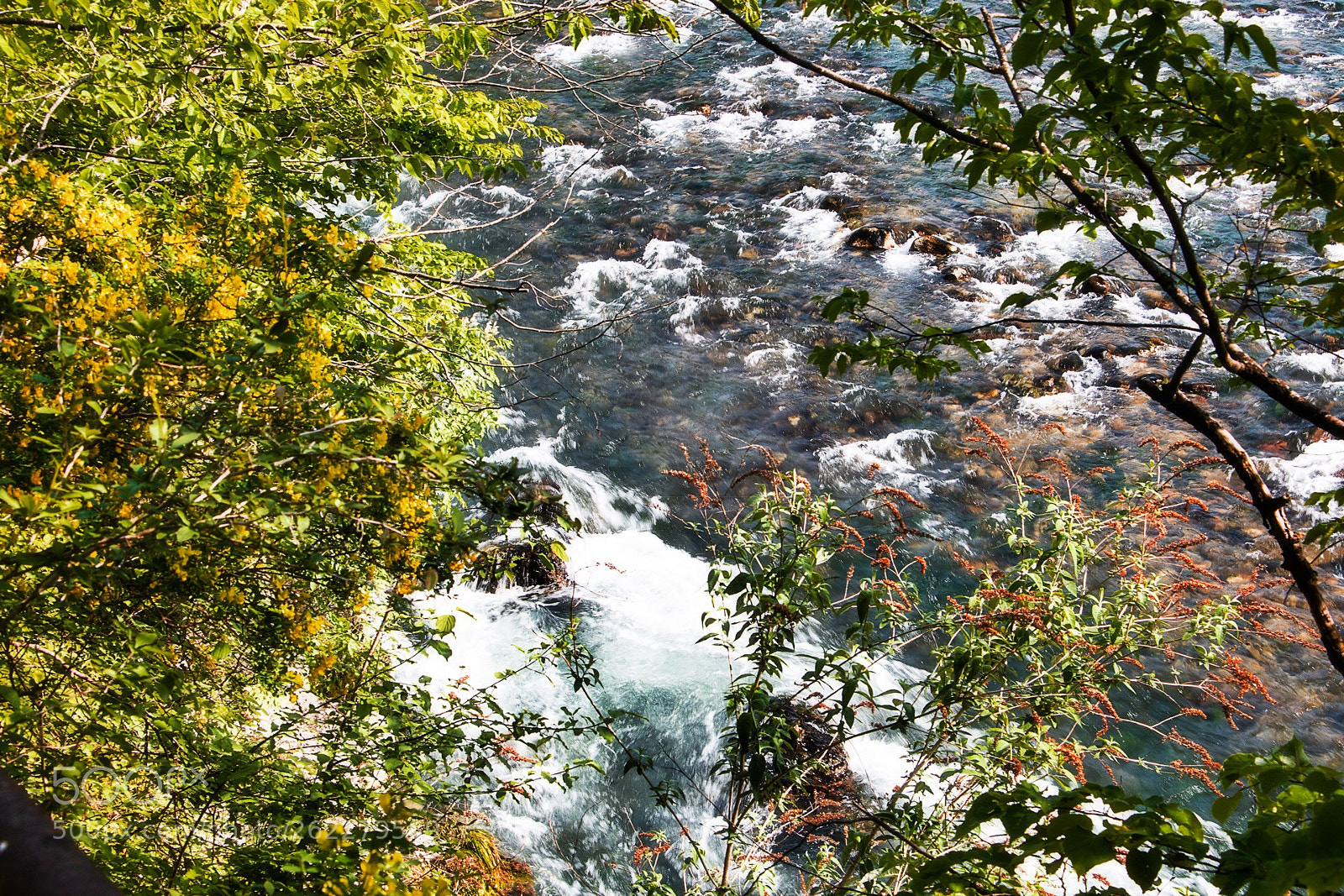 Canon EOS 70D sample photo. Brenta river photography