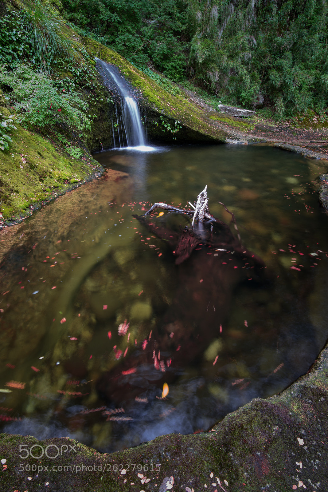 Nikon D610 sample photo. Salto de la culebra photography