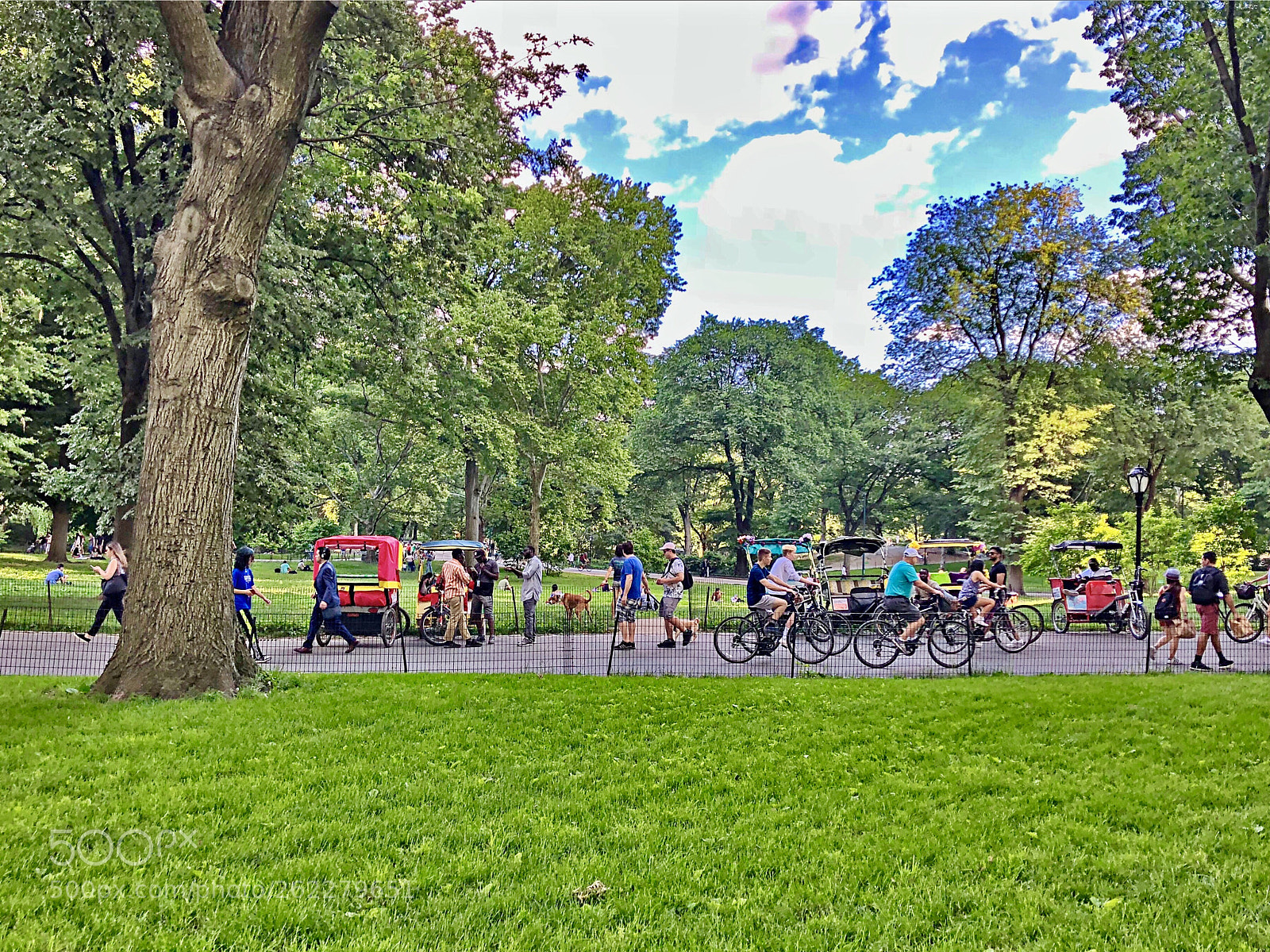 Apple iPhone X sample photo. Central park photography