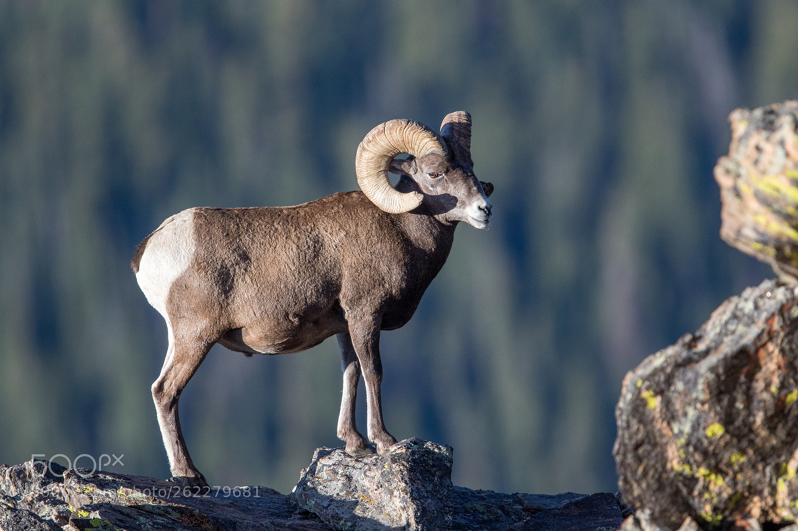 Canon EOS 7D Mark II sample photo. Rocky mountain nat'l park photography