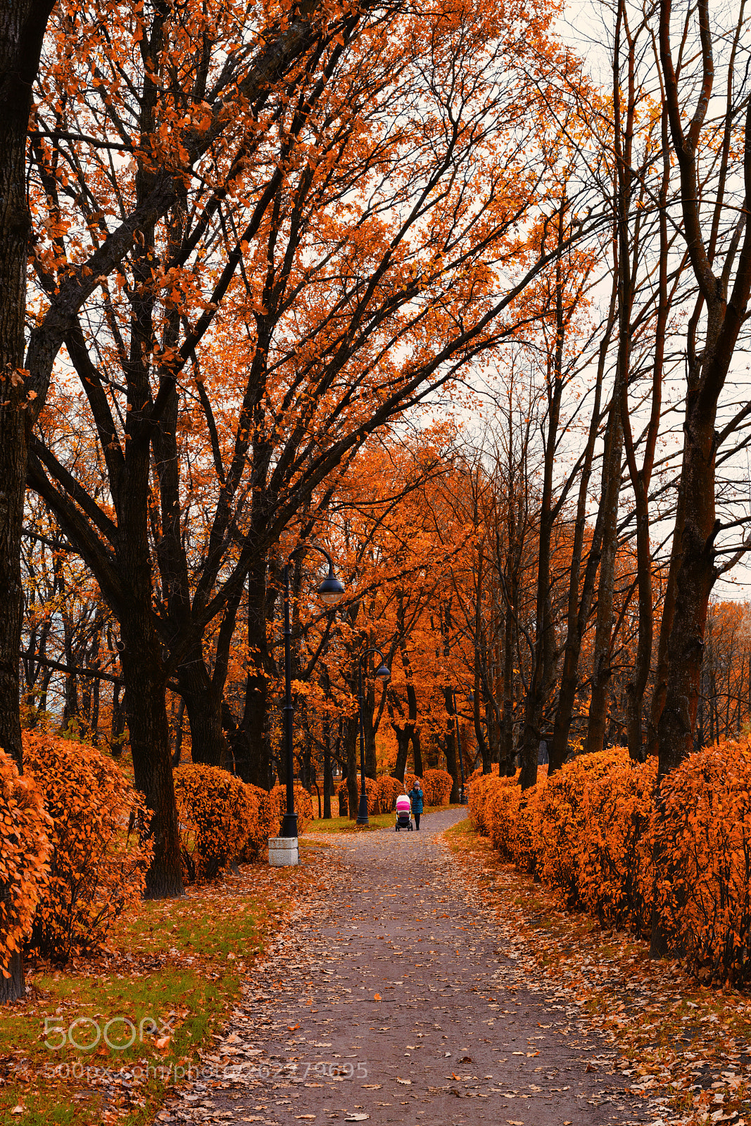 Sony a7R II sample photo. Park. photography