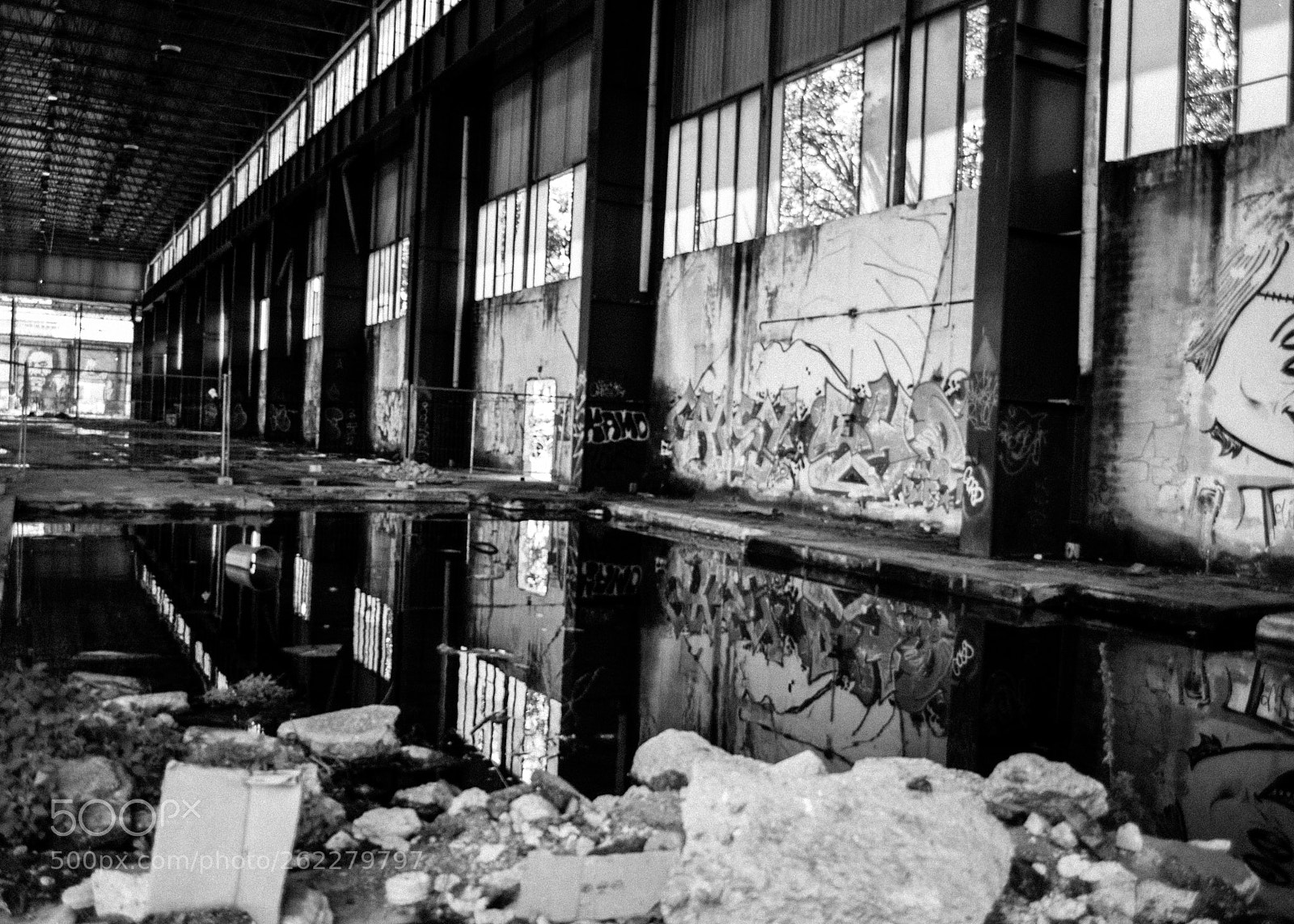 Nikon D5300 sample photo. Lovely disaster photography