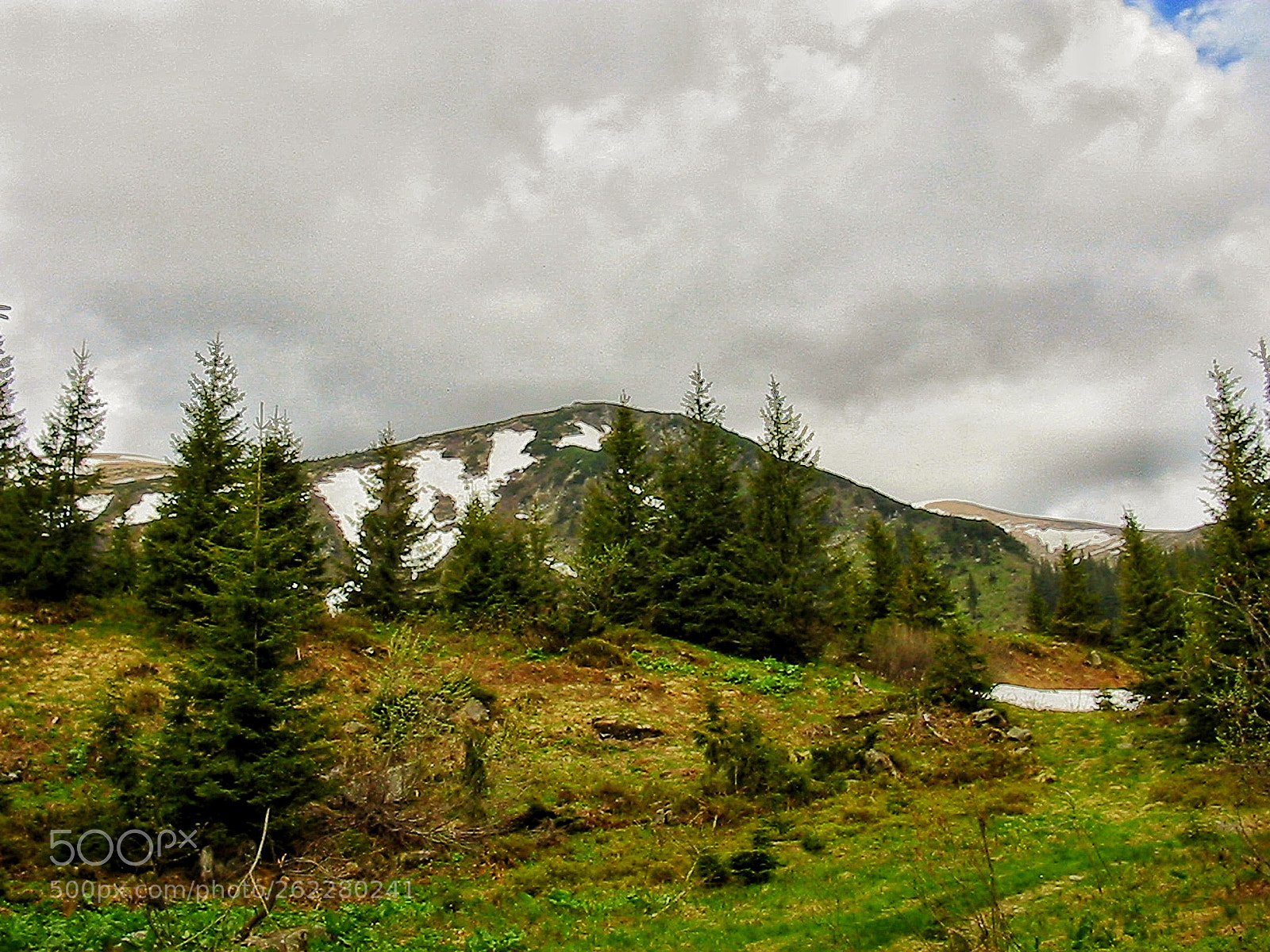 Canon POWERSHOT A100 sample photo. Ukrainian carpathians, may, 2004 photography