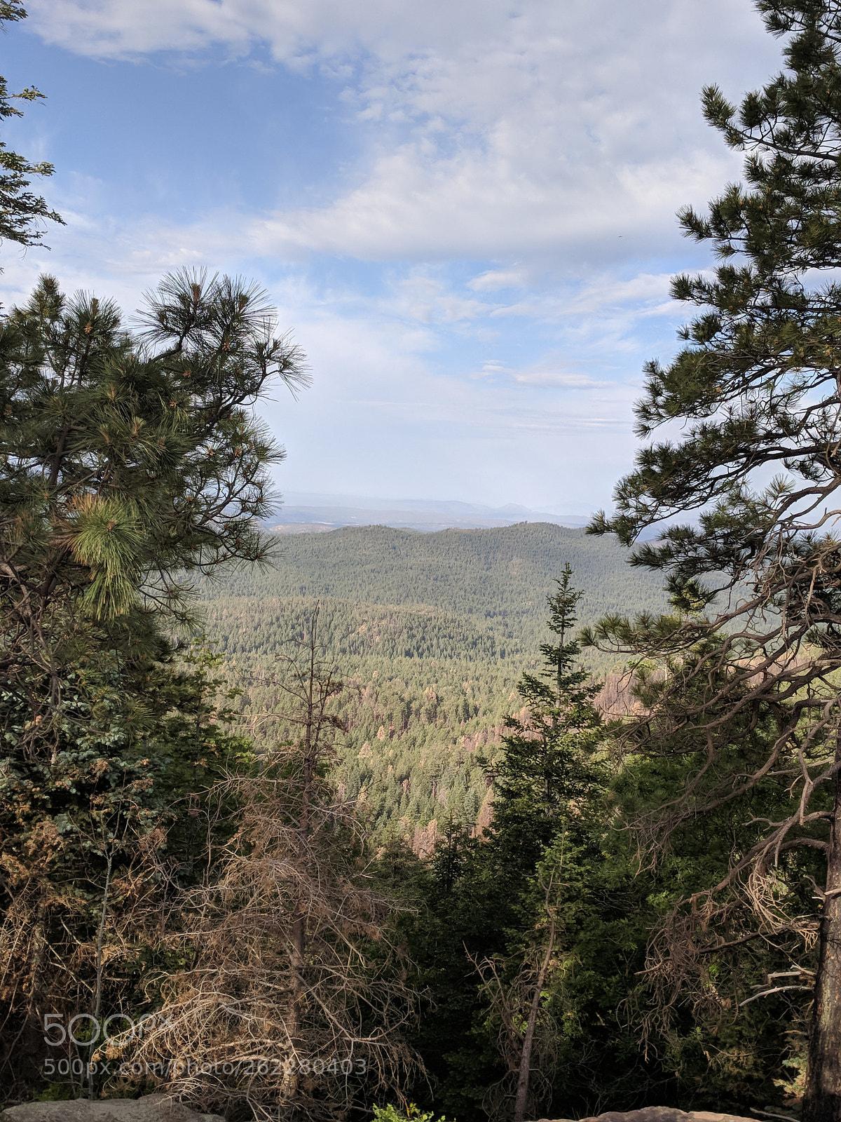 Google Pixel XL sample photo. Untitled photography