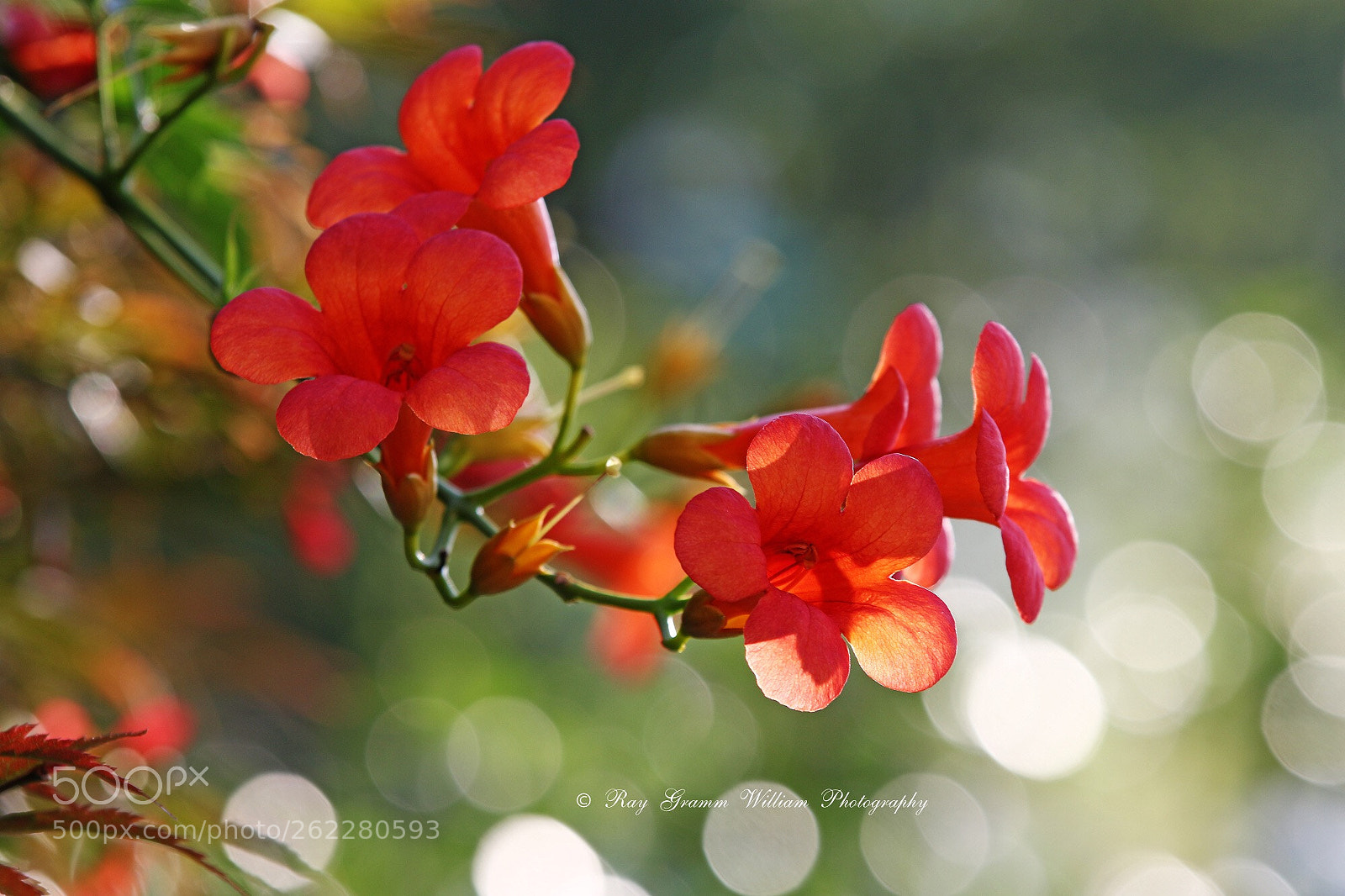 Canon EOS 7D Mark II sample photo. Happy father's day! photography