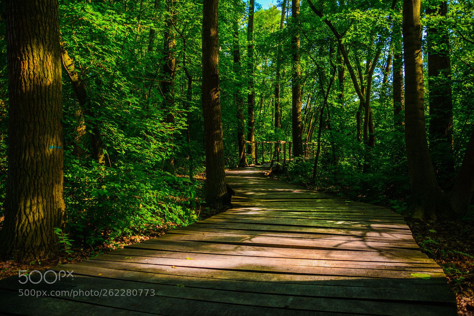 Nikon D5200 sample photo. Wooden bridge photography