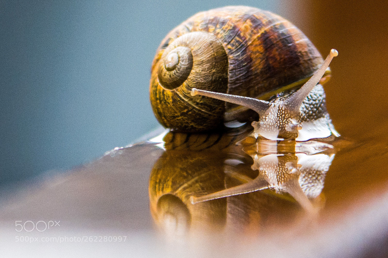 Nikon D7100 sample photo. Untitled photography