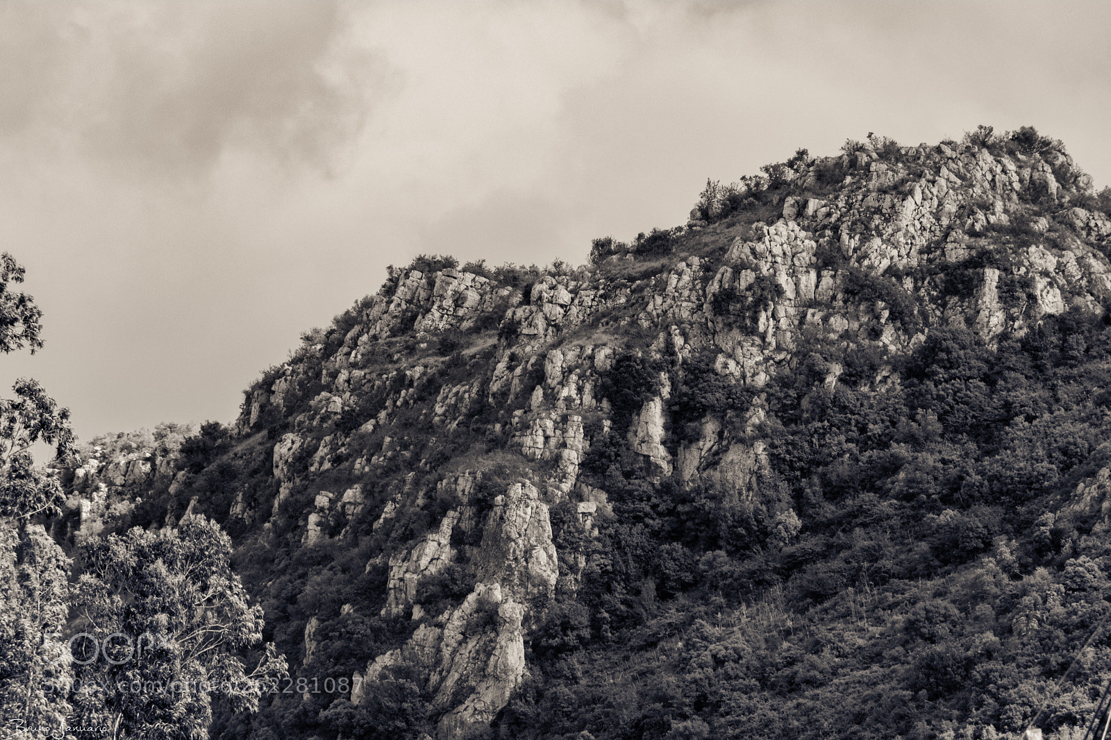 Nikon D5300 sample photo. Top rock photography