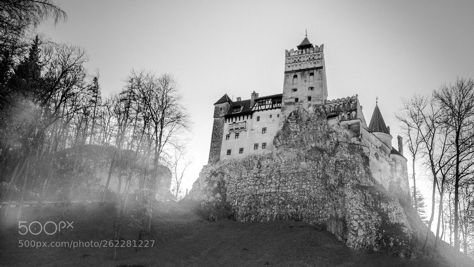 Nikon D5500 sample photo. Bran castle photography