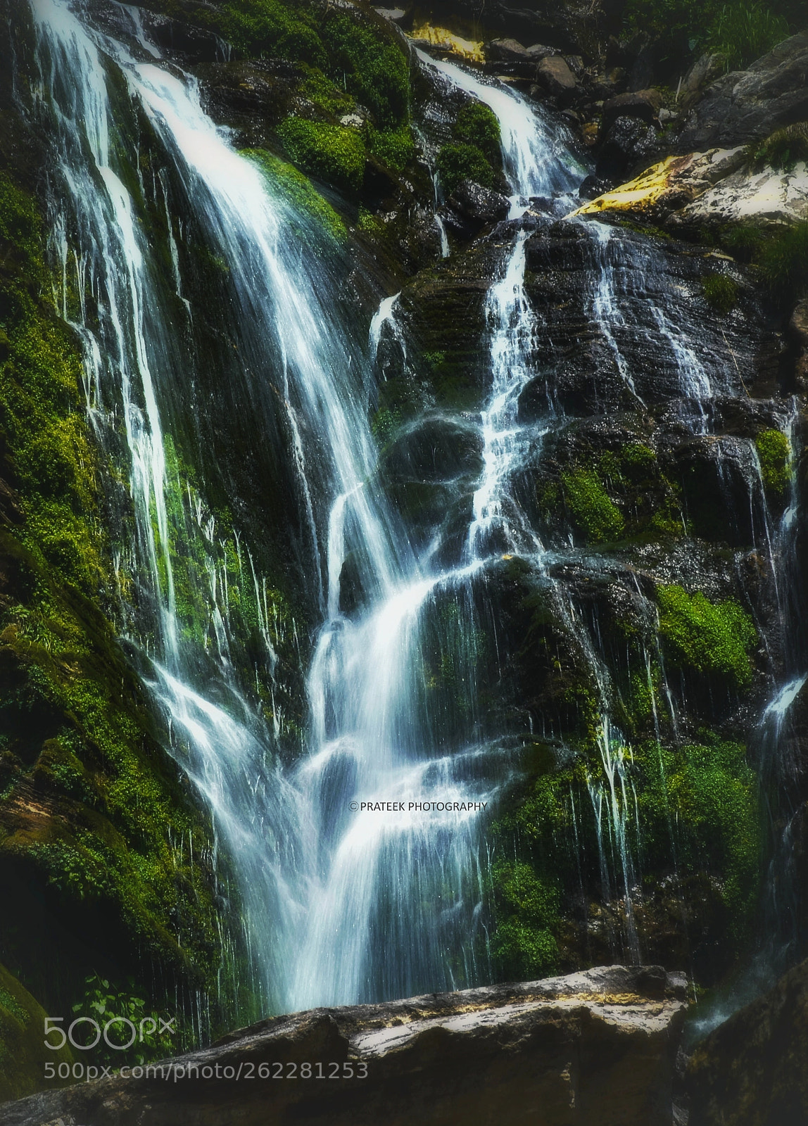 Nikon D5500 sample photo. Nature beauty photography