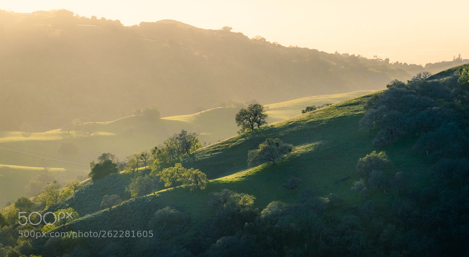 Nikon D5500 sample photo. Last green photography
