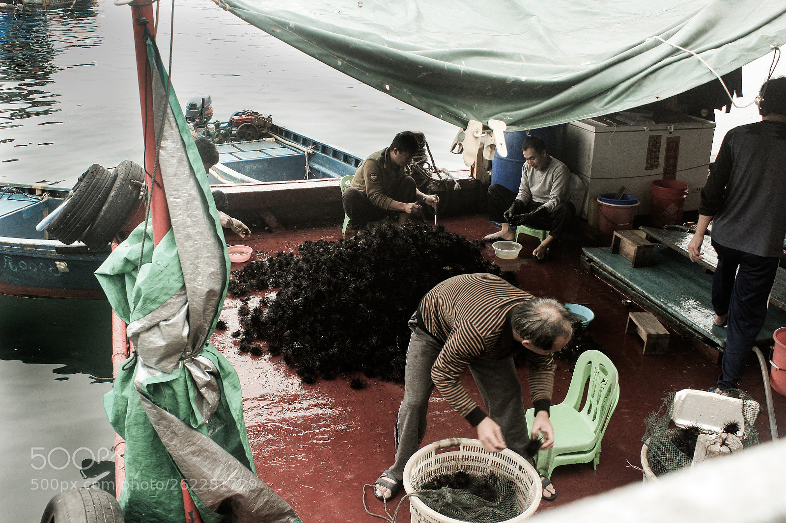 Canon EOS 650D (EOS Rebel T4i / EOS Kiss X6i) sample photo. Urchin boats photography