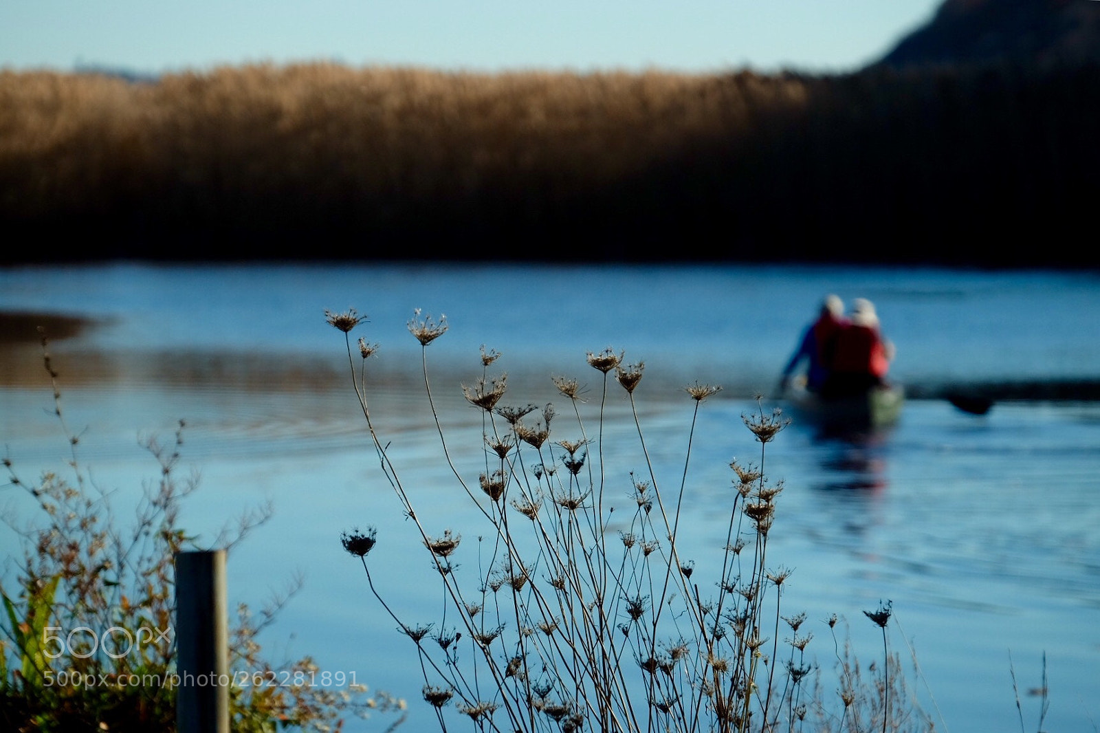 Fujifilm X-T1 sample photo. Paddling photography