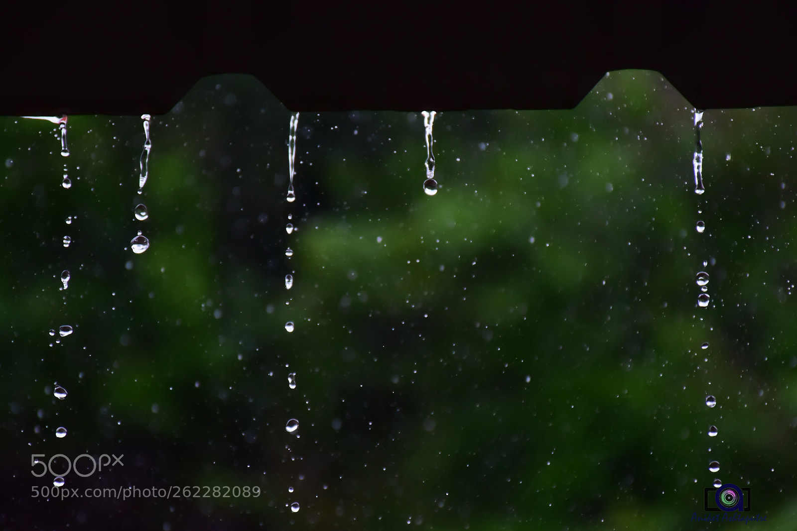 Nikon D5300 sample photo. Rain drops photography