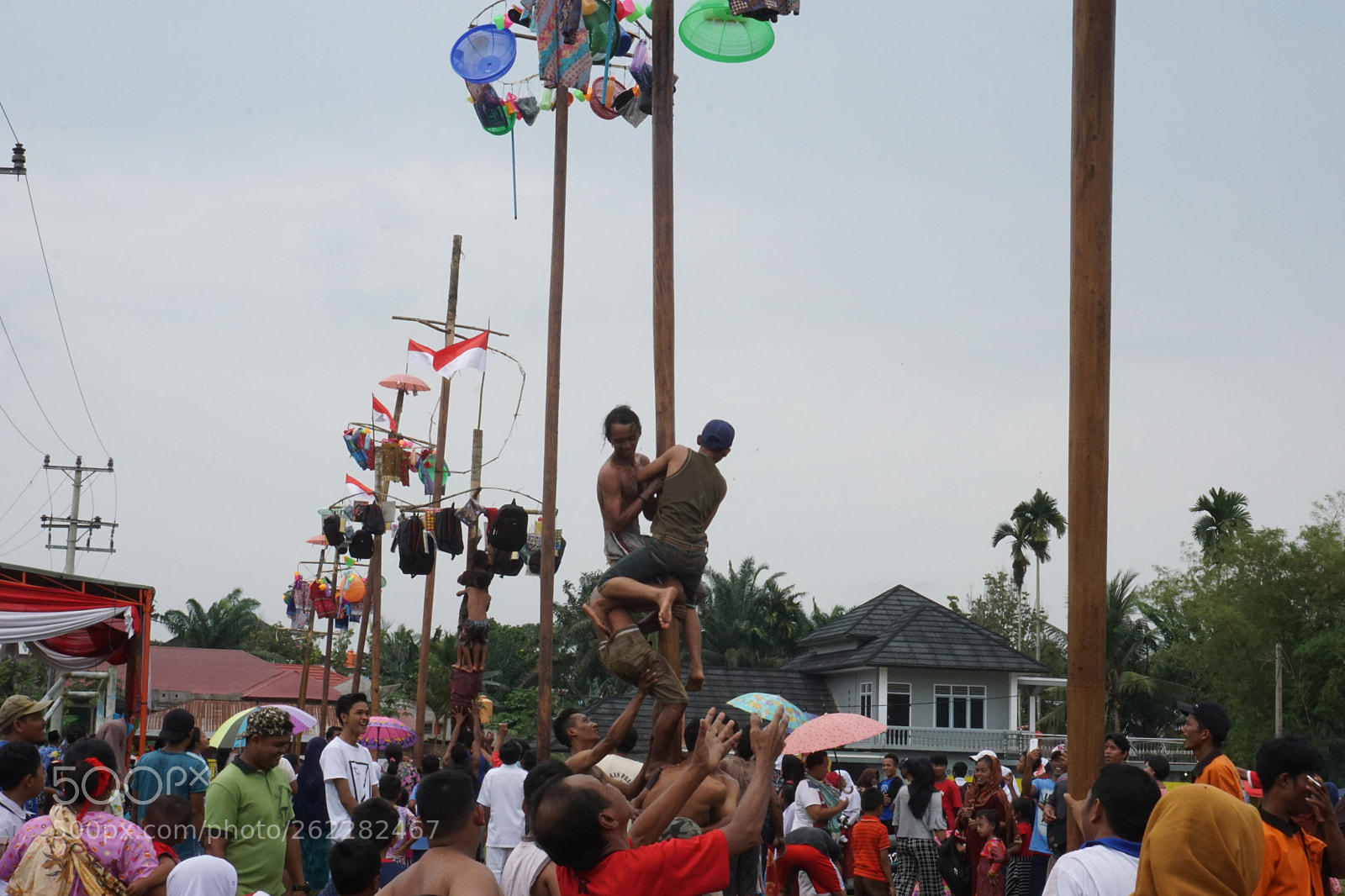 Sony a6000 sample photo. Panjat pinang photography