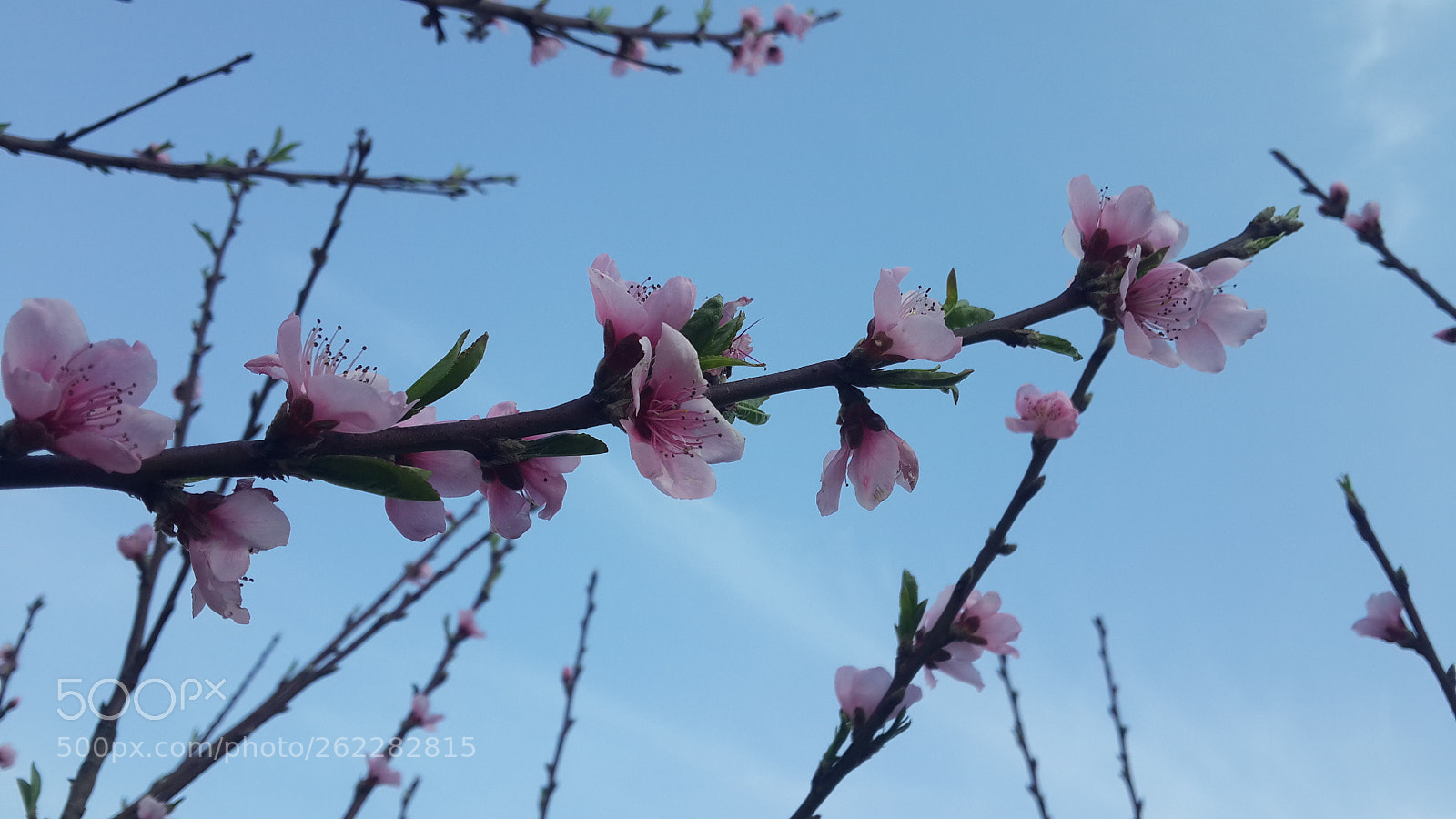 Samsung Galaxy S4 sample photo. 20180319_164913.jpg photography