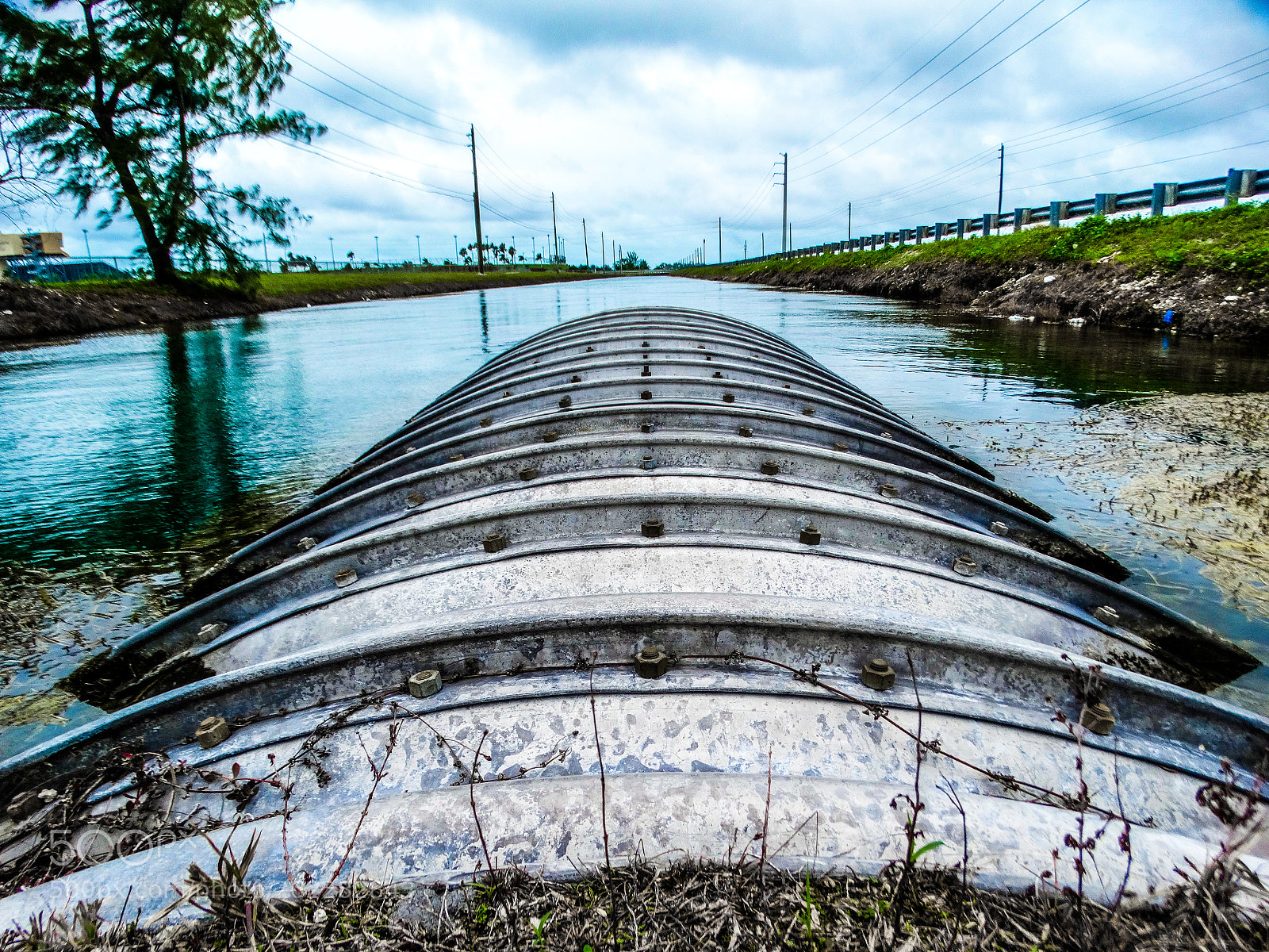 Sony Cyber-shot DSC-HX300 sample photo. Alligator alley photography