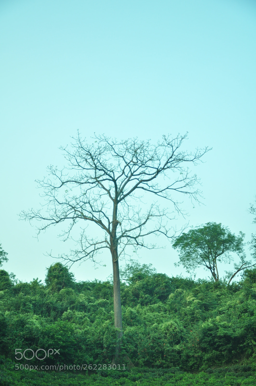Nikon D90 sample photo. View of nature photography
